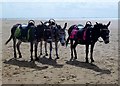 SD3128 : Life Is A Beach For Donkeys @ St Annes by Rude Health 