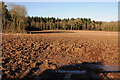 SO4329 : Ploughed field and Mill Wood by Philip Halling