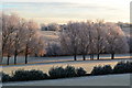 Sunlight on heavy frost, Stoke by Nayland