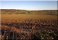 Arable land near the Yarty