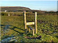 Stile without a Fence