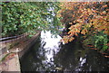 Lea Navigation below Enfield Lock