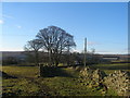 Footpath east of Prospect House Farm