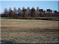 Field near Bishopton