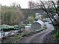 Blackhall Mill, Juniper