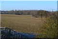 View across fields from layby on A12 near Kelvedon