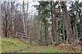 Gate and stile, Mossbrae Plantation