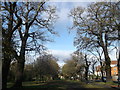 Path in Tooting Bec Common (2)