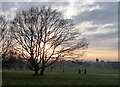 Wintry Streatham Common (6)