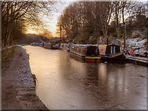 SJ9297 : Ashton Canal, The Snipe by David Dixon
