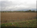 Farmland by the A405