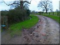 TQ0741 : Footpath by Wykehurst Farm by Shazz