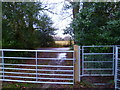 Footpath from Wyphurst Farm reaches Amlets Lane