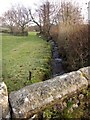 Stream near Langsford