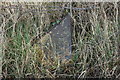 SE2468 : Fallen Mile Post near Risplith by David Rogers