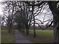 Path on Wandsworth Common