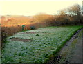 SS8483 : An area of hoar frost on  grass at the western edge of Bedford Park near Kenfig Hill by Jaggery