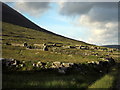 F6307 : Extensive view of the Deserted Village, Slievemore by Pamela Norrington