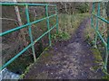 Bridlebridge into Duns Copse