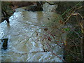 Turbulent stream in Duns Copse