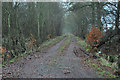 Farm track near St Martins