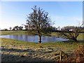 Icy pond, Drumnakilly