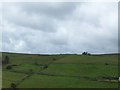 G8089 : Hill grazings above the Owenfoker Valley by Eric Jones