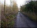 Bridleway and track through Hincks Plantation