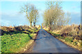 Minor road near West Adamston