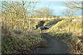 Cycle path near Dronley