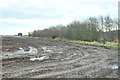 Waterlogged field near Emmock