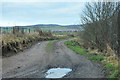 Farm track near Careston