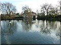 Mill pond with the former West Ashling Mill