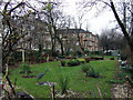 Garden at Holyrood Crescent