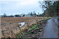 Road past Balglassie Farm