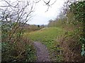 Open strip of land above Highford Park