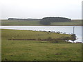 Looking across the northern arm of Colliford Lake towards Meadows Downs