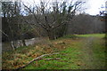 Path to Trehafren Park