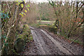 A bridge over Venn Stream at Duckslake