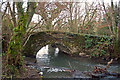 A bridge in the woods crossing Venn Stream at Duckslake