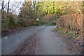 Yeoland Lane passing over Venn Stream at Duckslake bridge