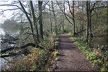 SP1074 : Path around Terry's Pool by Stephen McKay