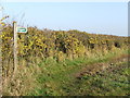 Footpath Sign