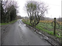 H5173 : Crocknacor Road by Kenneth  Allen