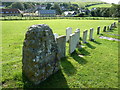 Holy Trinity, West Lulworth: churchyard (3)