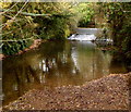 River Frome weir, Stonehouse