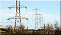 J2454 : Pylons and power lines, Edentrillick near Dromore (1) by Albert Bridge