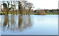 J2461 : Flooded field, Eglantine near Hillsborough (2) by Albert Bridge