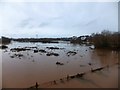 The River Exe in flood at Countess Wear