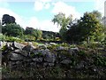 SO5402 : Dry stone wall and garden beyond, Mill Hill, Gloucestershire by nick macneill